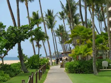 Ka'anapali beach path 