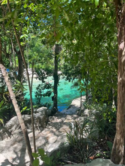 Cenotes are plentiful in this region