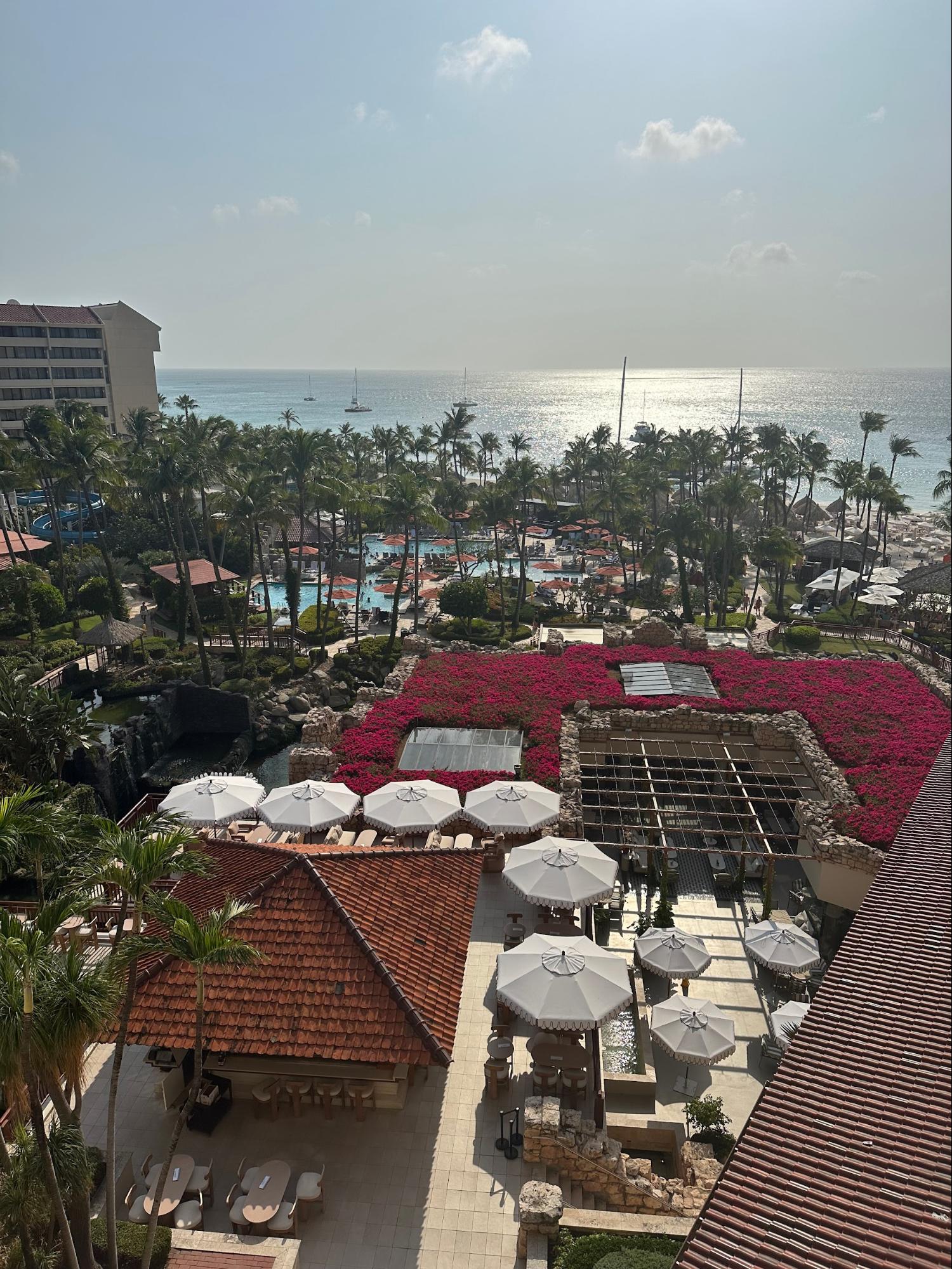 Family Trip to Aruba