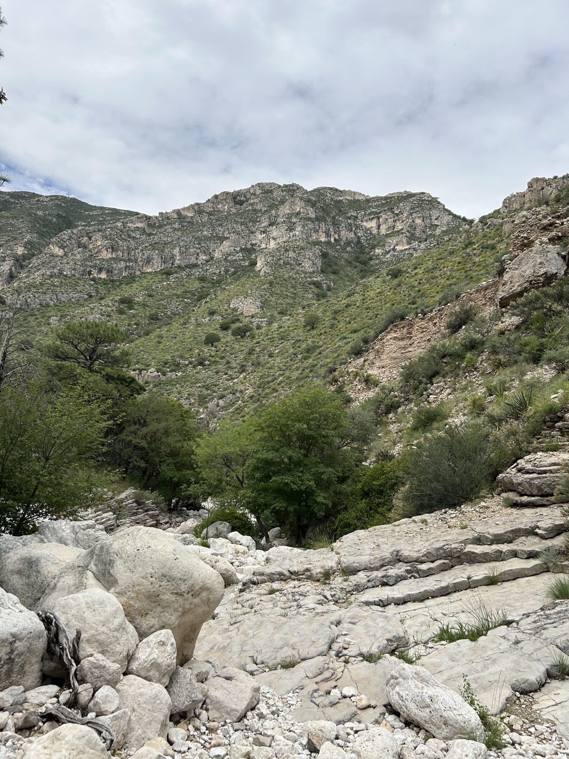 National Parks on Points